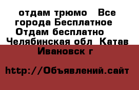 отдам трюмо - Все города Бесплатное » Отдам бесплатно   . Челябинская обл.,Катав-Ивановск г.